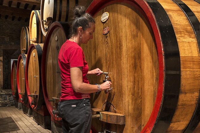 1-Hour Experience with Brunello. Visit to the Vineyard and Cellar - Is $42.06 a fair price?