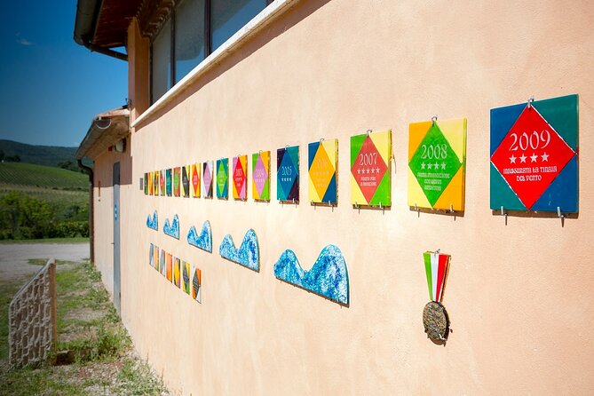 1-Hour Experience with Brunello. Visit to the Vineyard and Cellar - Starting among Sangiovese vines and outdoor art