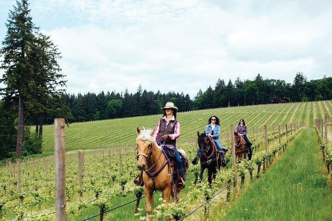 1-Hour Guided Tuscan Wine Tasting in Florence - How the one-hour itinerary works