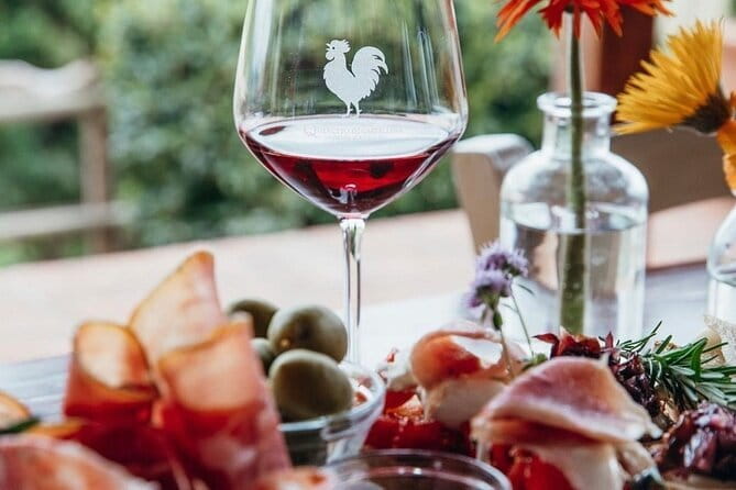 2 wineries Chianti Wine Tasting & Vineyards Walk Private Tour - Two wineries, two chances to taste Chianti