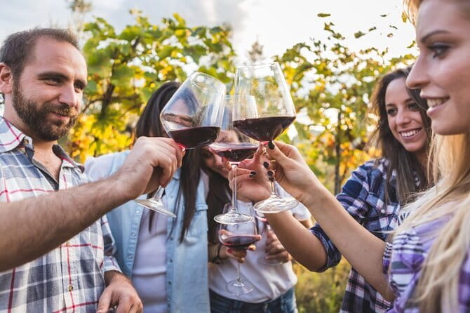 2 wineries Chianti Wine Tasting & Vineyards Walk Private Tour - My verdict: a polished but expensive taste of Chianti