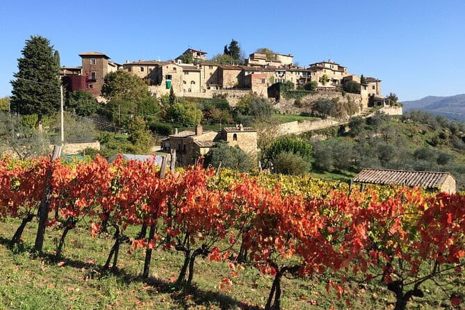2 wineries Chianti Wine Tasting & Vineyards Walk Private Tour - The castle with 900-year-old cellars