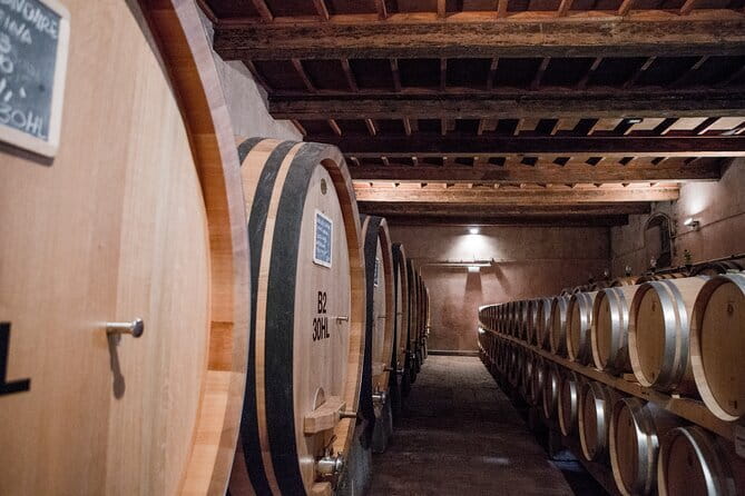 3 Hour Horse Ride to a Castle for Wine Tasting and snack Lunch - From Florence to the Tuscan hills in 40 minutes