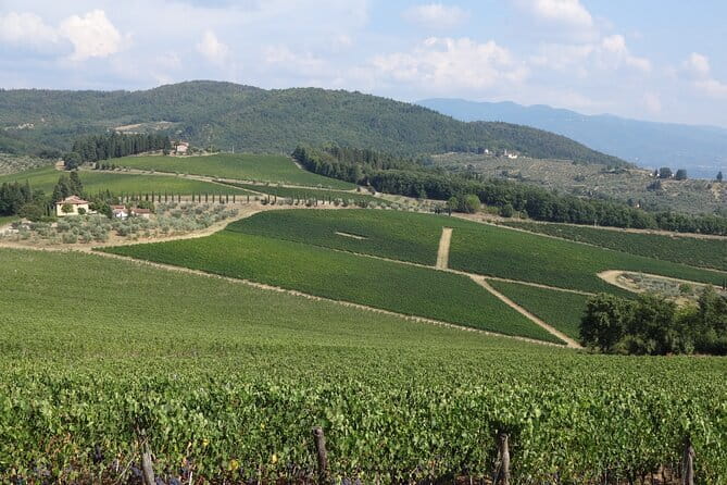3 Hour Horse Ride to a Castle for Wine Tasting and snack Lunch - Three to four wines with a Tuscan light lunch