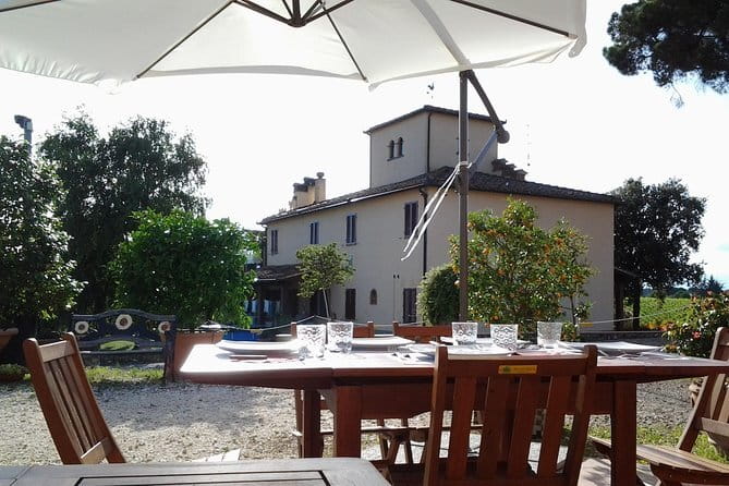 4 Wines & 2 Olive Oils Tasting in Chianti Winery with Tour - The olive-oil tasting is the real bonus