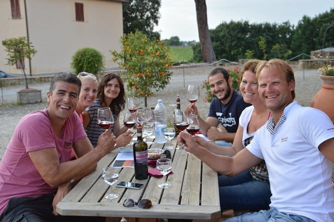 4 WINES TASTING in a Chianti Classico Farm (Visit/tour at the winery included) - The Optional Walk Through the Vines
