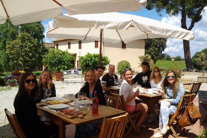 4 Wines Tasting with 2 Tuscan Cheeses & Tour at the winery - From Florence to the hills around San Casciano
