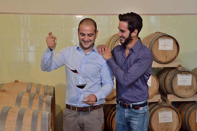 4 Wines Tasting with 2 Tuscan Cheeses & Tour at the winery - A vineyard walk when the season allows