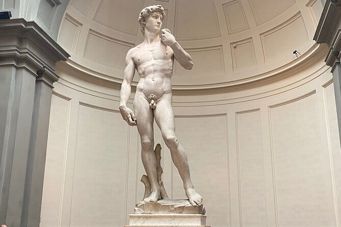 Accademia Gallery: Michelangelo's David and High Renaissance Art - What you actually buy for $43.25