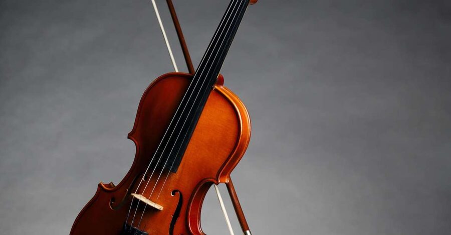 Afternoon Access to Accademia Gallery: David & Stradivarius - Key points at a glance