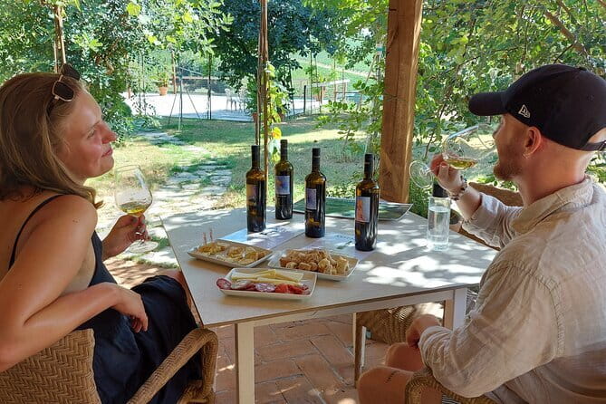 Biodynamic Wine Tasting with Producer in Vinci - A quiet hour beside the vineyards