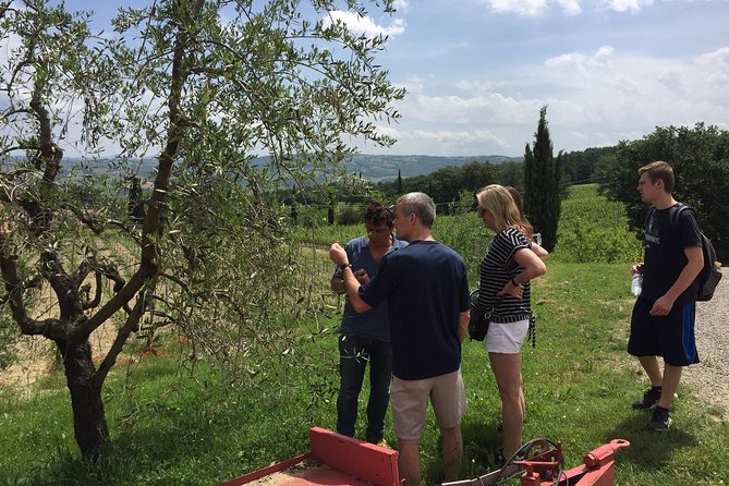 Brunello di Montalcino, small biodynamic wineries - Is $479.97 a fair price?