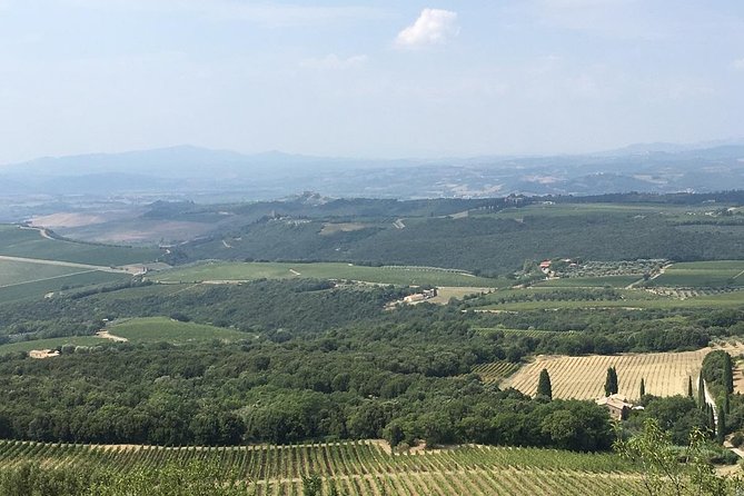 Brunello E-Bike Tour - Why this ride works better than a standard wine tasting