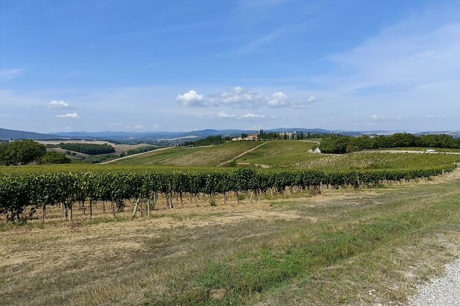 Brunello E-Bike Tour - Visiting the Abbey of Sant’Antimo