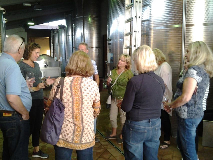 Chianti: 4 Wines +1 Oil Guided Tasting & Tour - A Vineyard Walk Depends on the Day
