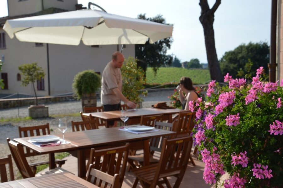 Chianti: 4 Wines +1 Oil Guided Tasting & Tour - The Family Feel and Guide Style