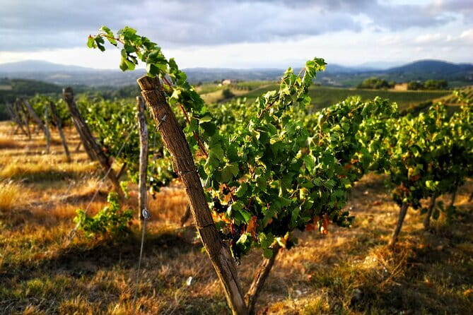 Chianti Classico E-bike Tour - Leaving Florence for the Chianti hills