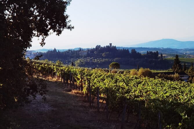 Chianti Classico E-bike Tour - Is $564.16 per person fair?