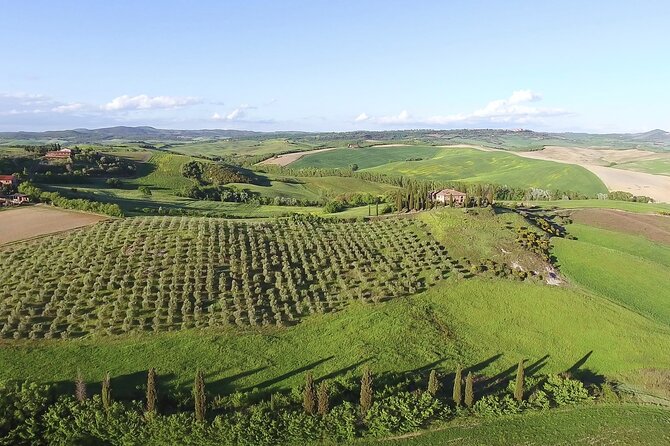 Chianti Classico, Montalcino, Montepulciano by minivan: Wine Tastings & Lunch - Farmhouse lunch near Montalcino