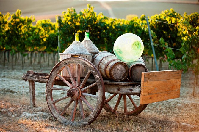 Chianti Classico, Montalcino, Montepulciano by minivan: Wine Tastings & Lunch - Montalcino’s fortress and artisan streets