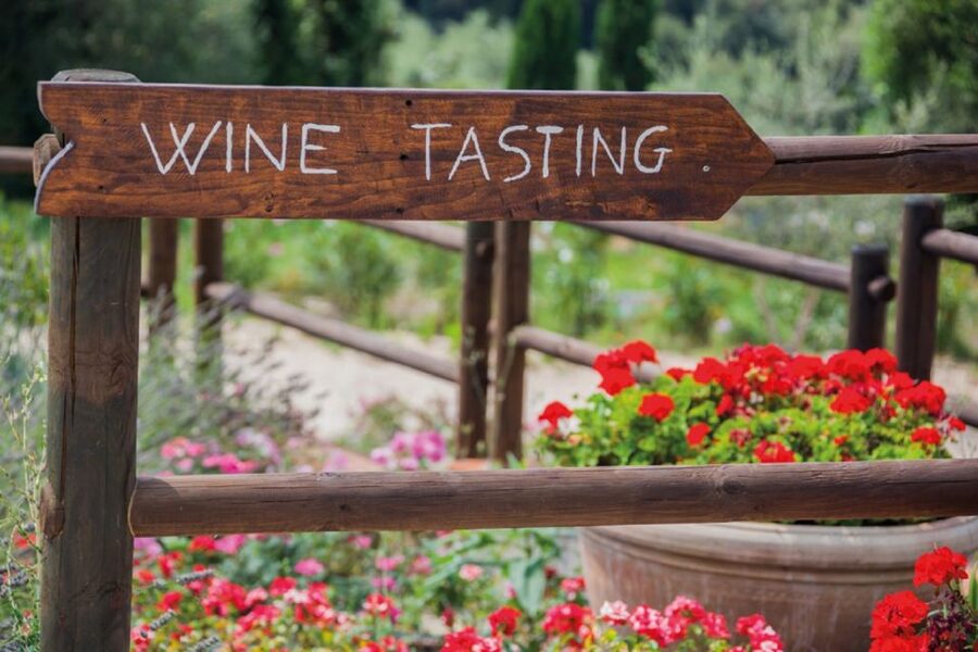 Chianti Countryside Full-Day Tour by Vintage Fiat 500 - Should you book the Chianti Fiat 500 tour?