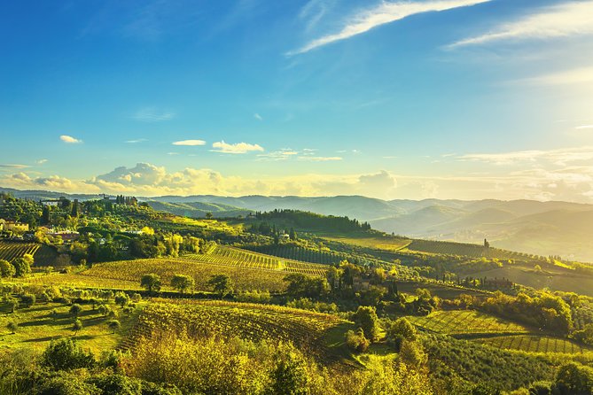 Chianti Experience Shore Excursion from Livorno Port - What the private format really adds