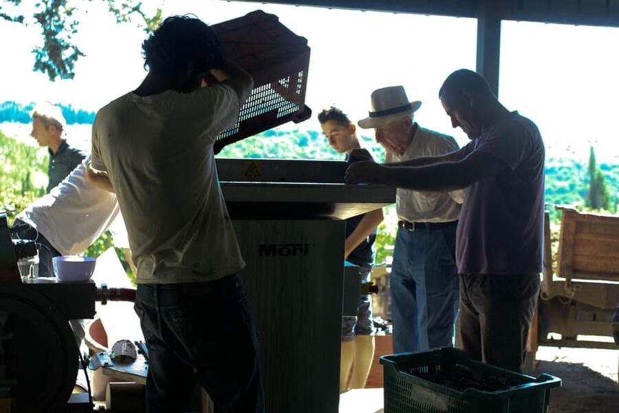 Chianti Organic wine tasting - Why this small Chianti winery feels personal