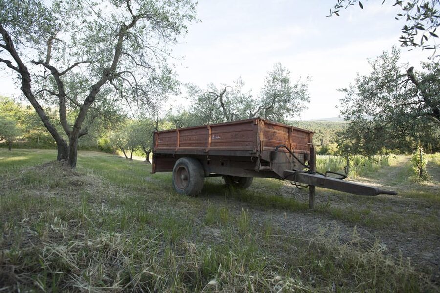 Chianti Organic wine tasting - The walk from Santa Cristina to the vines