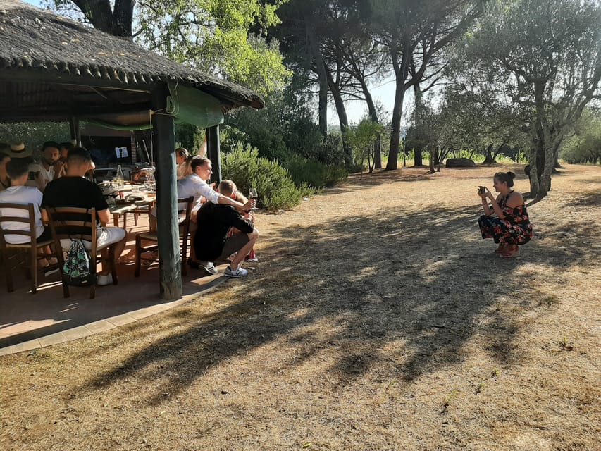 Chianti Organic wine tasting - The setting near Florence and Greve in Chianti