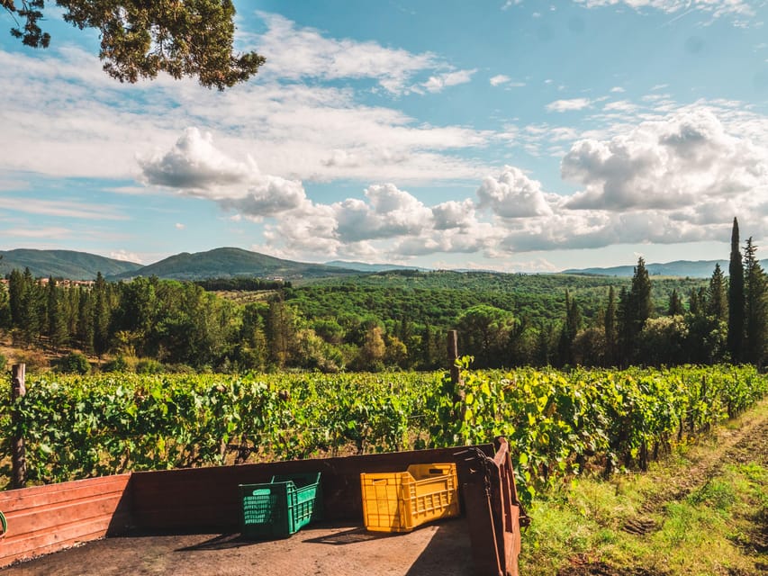 Chianti Organic wine tasting - Booking, timing, and weather tips