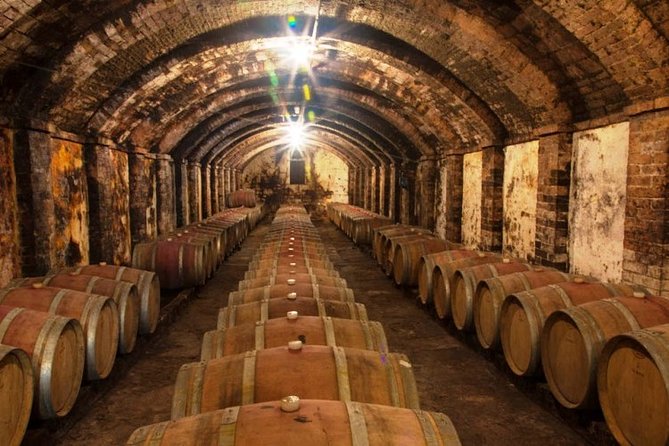 Chianti & Supertuscan Tour 2 Wineries Small Group 8 people max from Florence - Why the guide can make or break the day