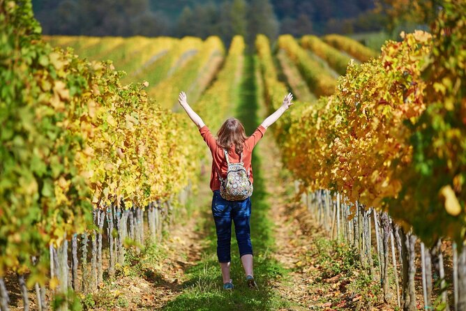 Chianti & Supertuscan Tour 2 Wineries Small Group 8 people max from Florence - Is this tour worth booking?