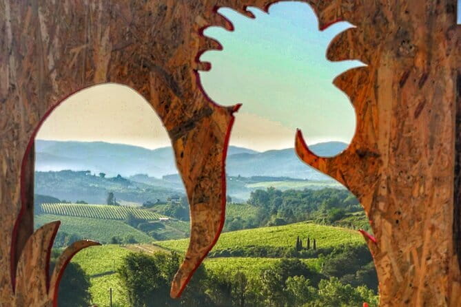 Chianti Vineyards Escape from Florence with Two Wine Tastings - The second winery: a different view of Chianti wine