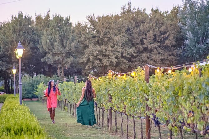 Chianti Vineyards Escape from Florence with Two Wine Tastings - Tuscan views and the golden-hour timing
