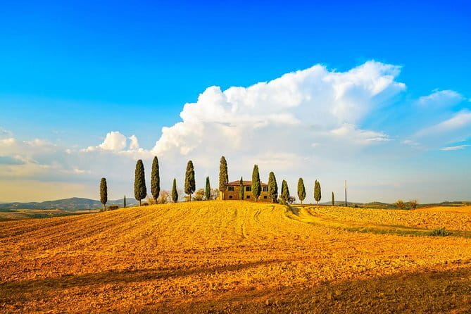 Chianti Vineyards Escape from Florence with Two Wine Tastings - Guides can make or break the afternoon