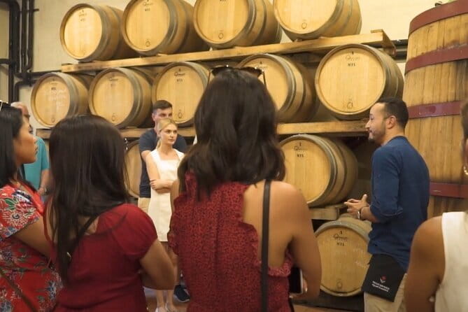 Chianti vineyards: Small-Group tour with wine tasting & Dinner - Group size and guide quality