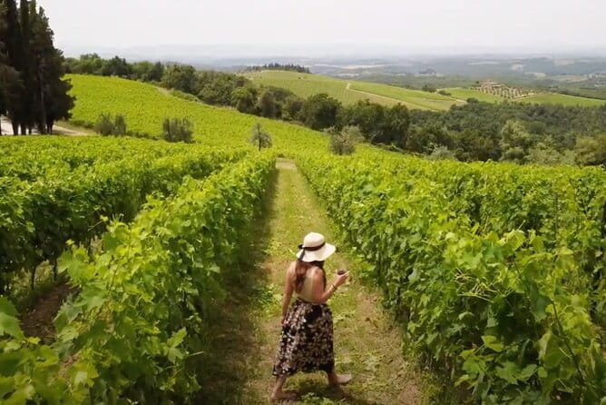Chianti vineyards: Small-Group tour with wine tasting & Dinner - Wine, balsamic, and olive oil tastings