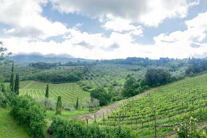 Chianti Vineyards Tours in Private Luxury Van from Florence - Brogioni offers the most hands-on wine stop