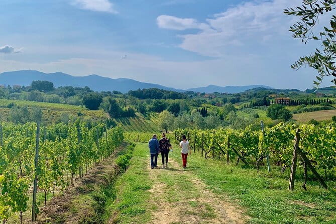 Chianti Wine Tasting Tour from Florence (2 Wineries) - Leaving Florence for the Chianti hills