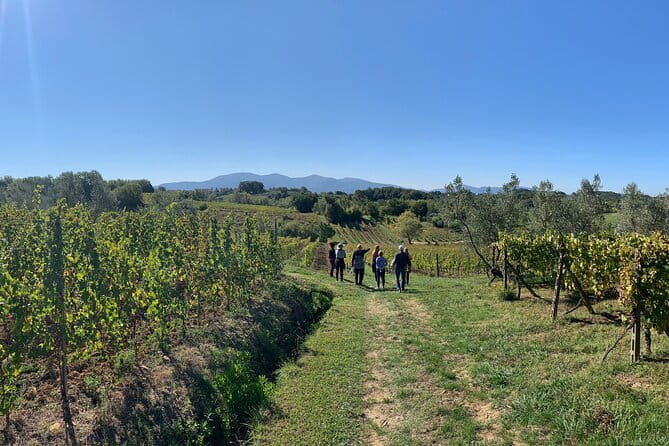 Chianti Wine Tasting Tour from Florence (2 Wineries) - What the first Chianti winery adds