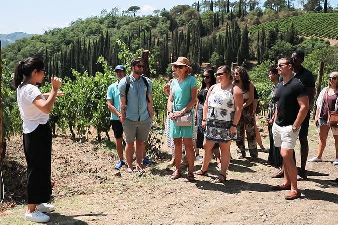Chianti Wine Tour from Florence - The road through Sienese Chianti Classico