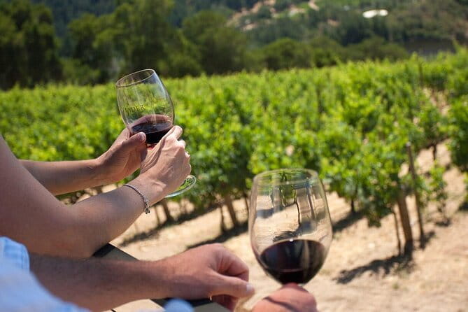 Chianti Wine Tour from Florence - Price, group size, and the value of the half-day format