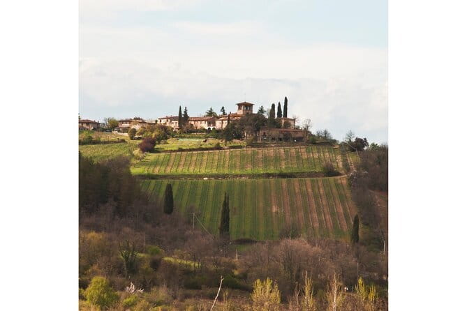 Chianti Wine Tour from Florence to San Gimignano with 2 Wineries - Why this Florence wine tour works