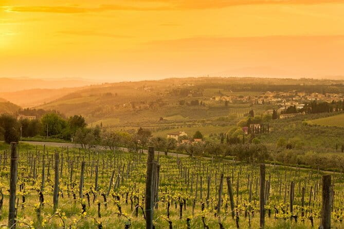 Chianti Wine Tour from Florence to San Gimignano with 2 Wineries - Gino and Luigi shape the day