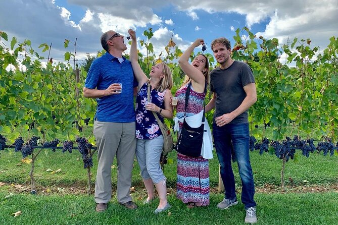 Chianti Wine Tour in Tuscany from Florence - San Gimignano: towers, stone streets, and free time