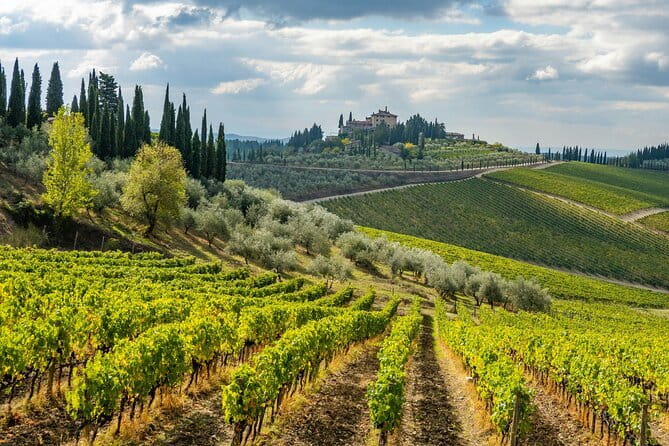 Chianti Wine Tour - Private Wine experience in Tuscany Countryside - Why a private Chianti day works so well