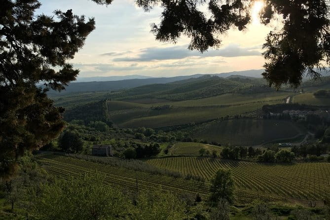 Chianti Wine Tour - Private Wine experience in Tuscany Countryside - Badia a Passignano begins the day with a sense of place