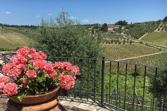 Chianti Wine Tour - Private Wine experience in Tuscany Countryside - A hilltop viewpoint adds the best countryside pause