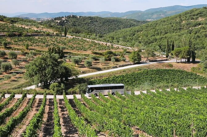 Chianti Wine Tour: Two Wine Tastings, Vineyards and Cellar Visit - Why this Chianti trip works well from Florence