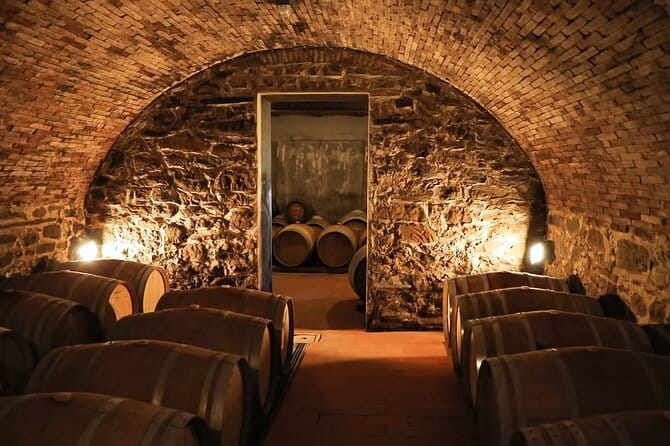 Chianti Wine Tour: Two Wine Tastings, Vineyards and Cellar Visit - What you will taste during the day